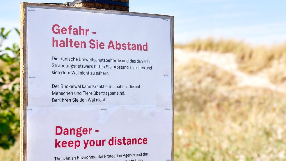 Achtung, Ansteckungsgefahr! Die Behörden warnen auch auf Deutsch. Foto: Marcus Golejewski