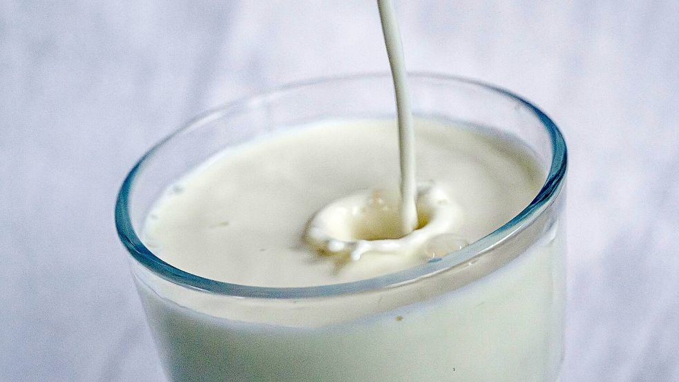 Kuhmilch - von Natur aus voller wichtiger Nährstoffe, aber in der Herstellung nicht unbedingt gut für sie Umwelt Foto: Sina Schuldt