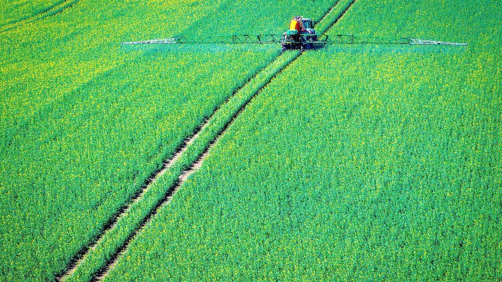 Ein Traktor zieht eine Spritzmaschine über ein Rapsfeld Foto: Jens Büttner