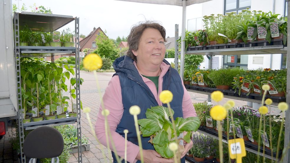 Iris de Vries an ihrem Stand mit Pflanzen auf dem Barßeler Wochenmarkt. Seit Mai beschickt sie mit ihrem Mann Rolf den Markt in Barßel. Das Ehepaar aus Westerstede ist zufrieden mit der Resonanz und hofft auf noch mehr öffentliche Wahrnehmung, wenn der Markt im Juli umgezogen sein wird von der Gartenstraße auf den Theodor-Klinker-Platz vor dem Rat- und Bürgerhaus. Foto: Astrid Fertig