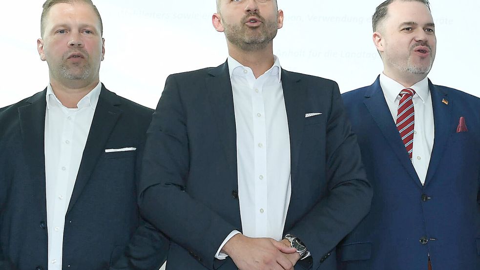 Lust auf patriotischen Tourismus: Ulrich Siegmund, Landeschef der AfD Sachsen-Anhalt (m.), und zwei seiner Mitstreiter. Foto: IMAGO/Revierfoto