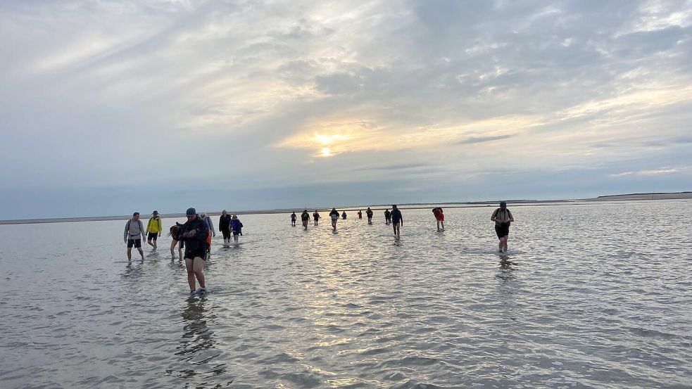Herrlich: eine Wanderung durchs ostfriesische Watt. Foto: Melanie Hanz