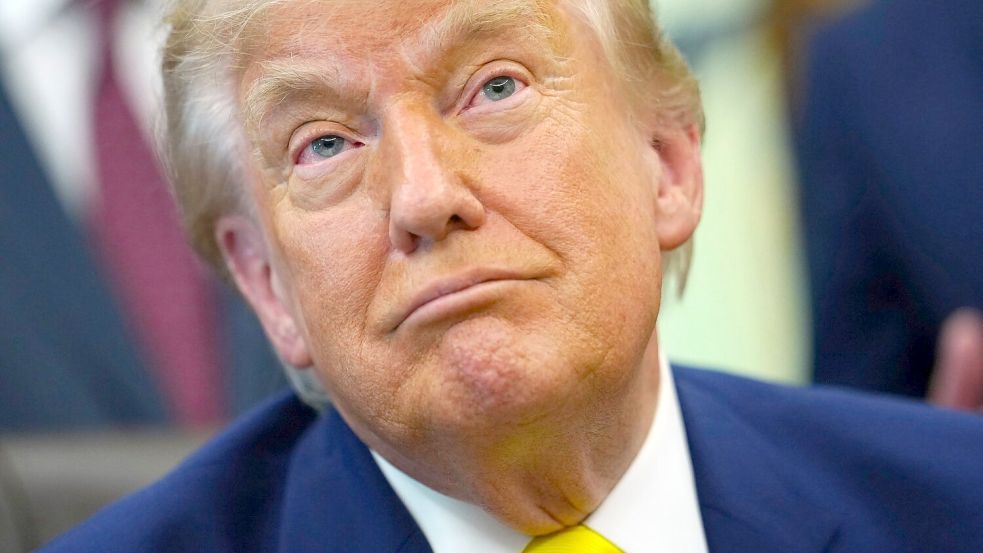 US-Präsident Trump sagt die geplanten Konzerte zum 250. Geburtstag der USA nun ganz ab. Foto: Julia Demaree Nikhinson