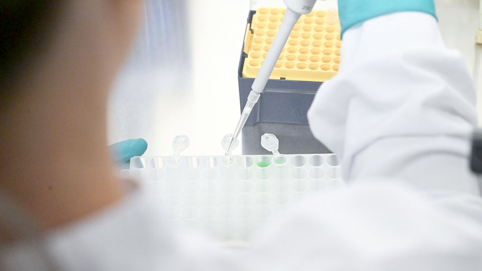 Biotech-Firmen in Deutschland haben 2025 weniger Geld eingesammelt. (Symbolbild) Foto: Bernd Weißbrod