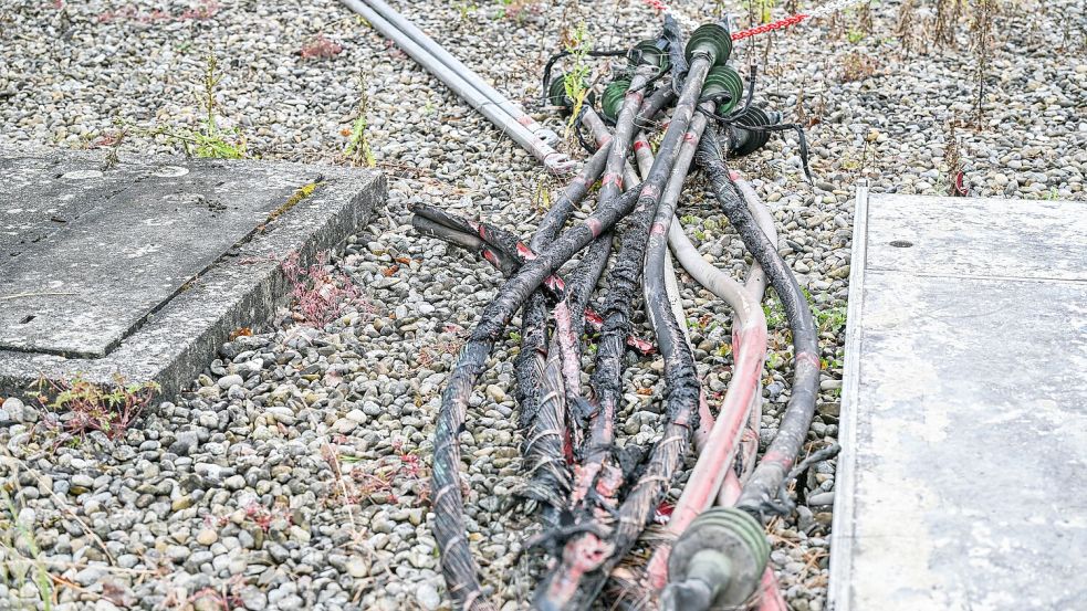 Die bisherigen Ermittlungen haben Hinweise auf einen eingesetzten Brandbeschleuniger ergeben. Foto: Jason Tschepljakow/dpa