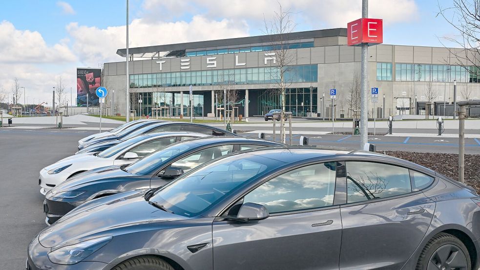 Nach einem Brandanschlag auf einen Hochspannungsmast steht im März 2024 die Produktion in der Tesla-Autofabrik in Grünheide zeitweise still. Foto: Patrick Pleul