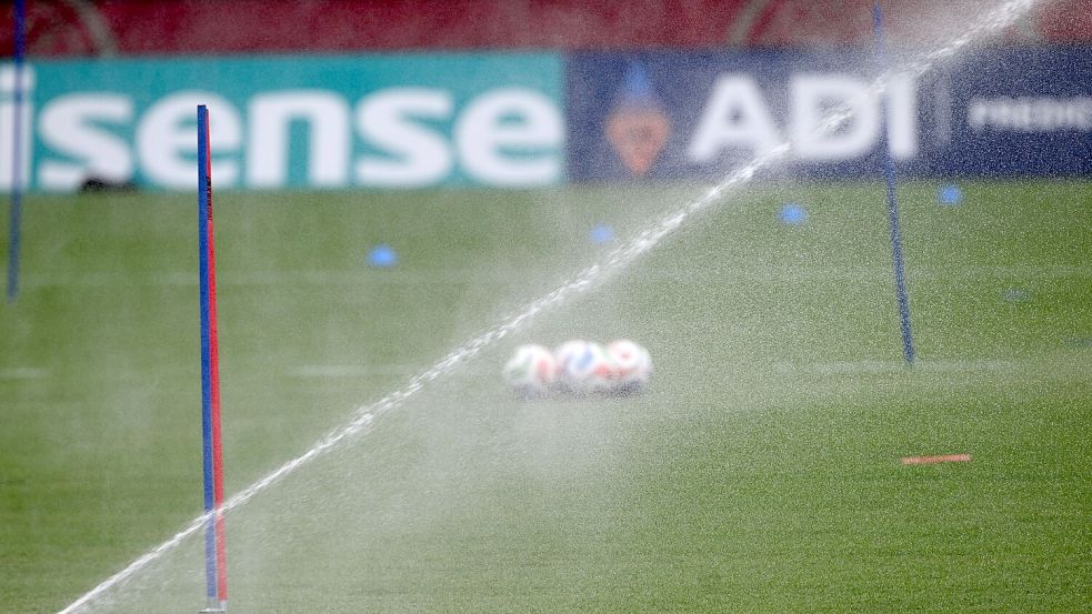 Der Rasen in den USA hat eine andere Beschaffenheit als auf europäischen Fußball-Plätzen. Foto: Federico Gambarini/dpa