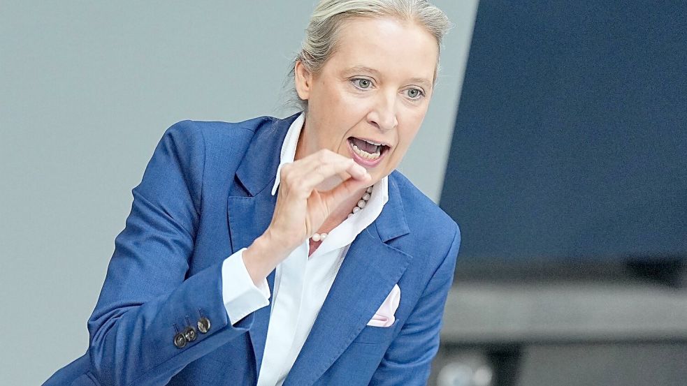 Weidel rechnet mit der Regierung generell ab. Foto: Michael Kappeler/dpa