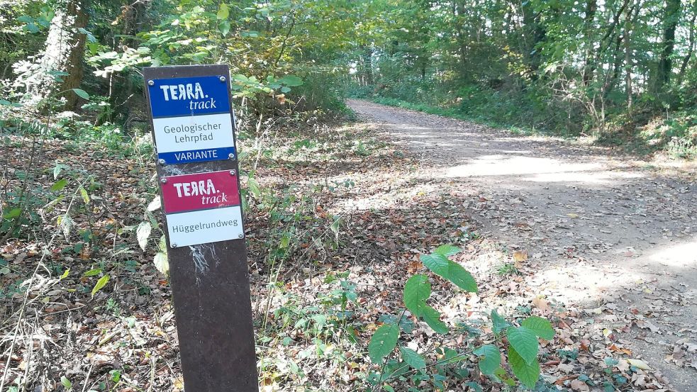Der Hüggel lockt nicht nur im Sommer zahlreiche Erholungssuchende an, auch Mountainbiker nutzen die Wege. Foto: Frederik Tebbe