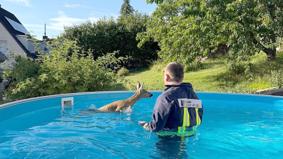 Der Ausflug ins kühle Nass endete für das Rehkitz mich reichlich Stress. (Foto Feuerwehr Aßlar/dpa) Foto: --