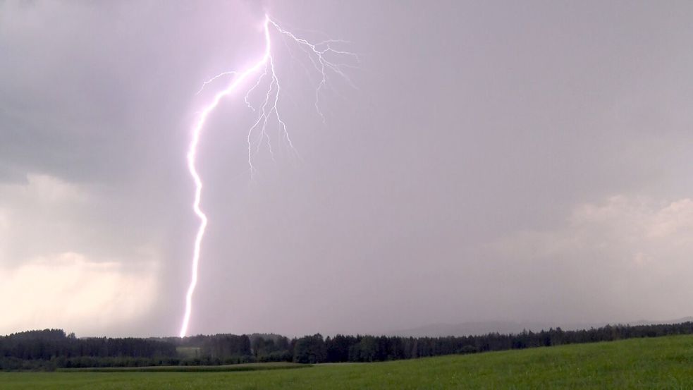 Nach einem Blitzeinschlag in Rastatt-Niederbühl kommen sechs Personen verletzt in ein Krankenhaus. (Symbolbild) Foto: Bernd März