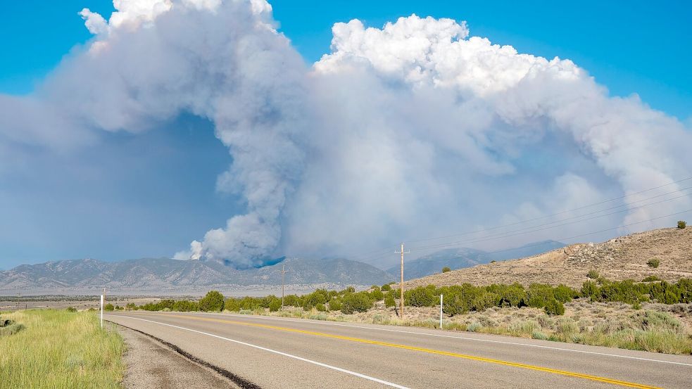 Die betroffene Hügelregion befindet sich in der Nähe der Stadt Salt Lake City Foto: Charles Mcclintock Wilson