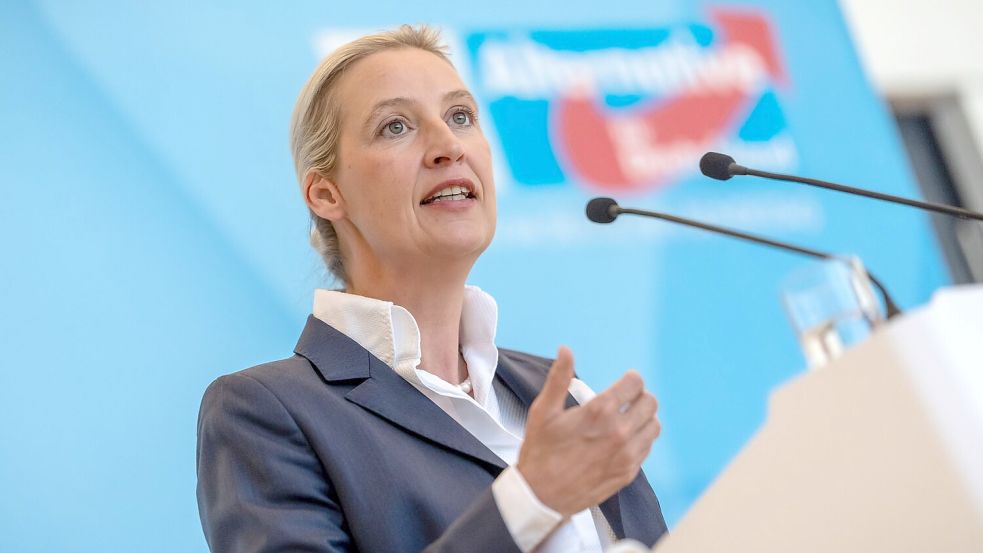 AfD-Chefin Alice Weidel bemängelt, die Empfehlungen der Rentenkommission seien nicht ausreichend. Foto: Michael Kappeler/dpa