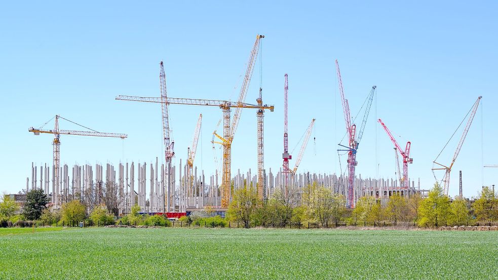 Die Bundesregierung will den Betreibern von Rechenzentren beim Thema Abwärmenutzung und Energieeffizienz entgegenkommen. Foto: Patrick Pleul