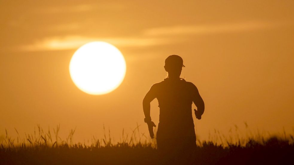 Tagsüber an die 40 Grad, nachts über 20 Grad: Deutschland schwitzt. Foto: Marijan Murat