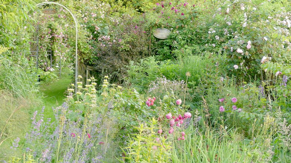 Der Garten von Karin Berends-Lüürßen erstrahlt in vollem Glanz. Foto: Karin Berends-Lüürßen