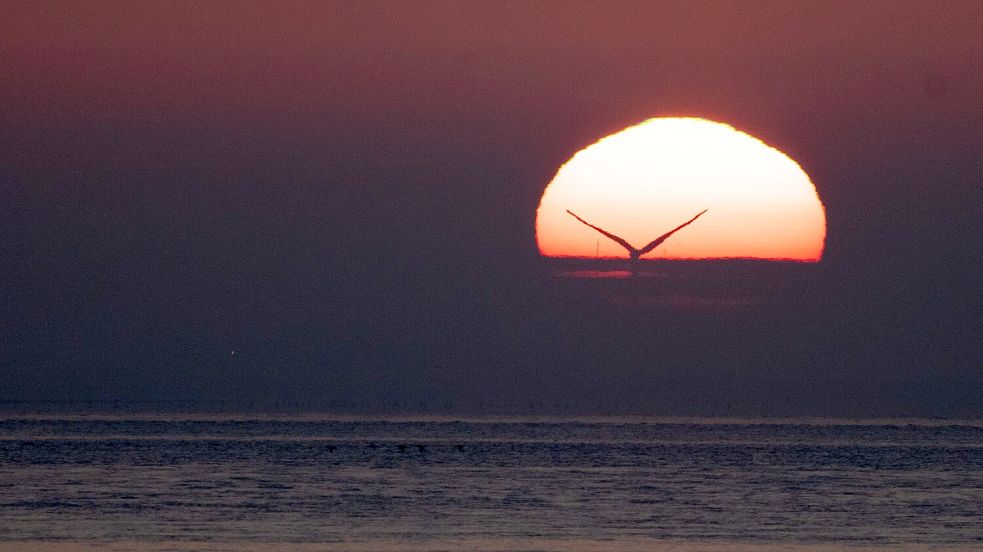 Viel Windenergie wird im Norden und Osten Deutschlands erzeugt - doch dann muss sie abtransportiert werden. Das kann zum Problem werden. Foto: Christian Charisius