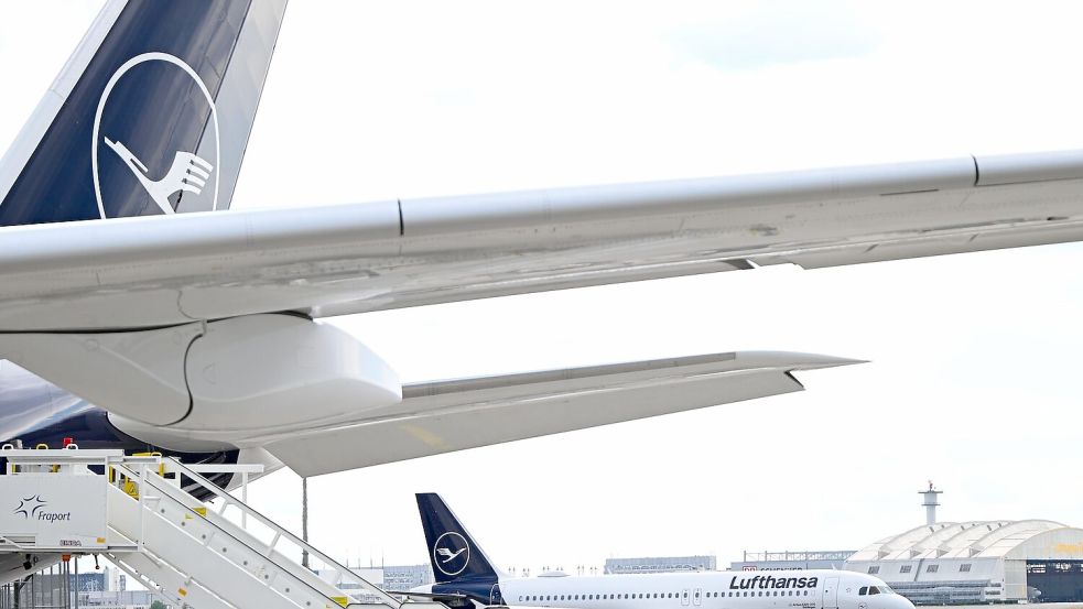 Israel ist wieder auf dem Flugplan der Lufthansa. Foto: Florian Wiegand