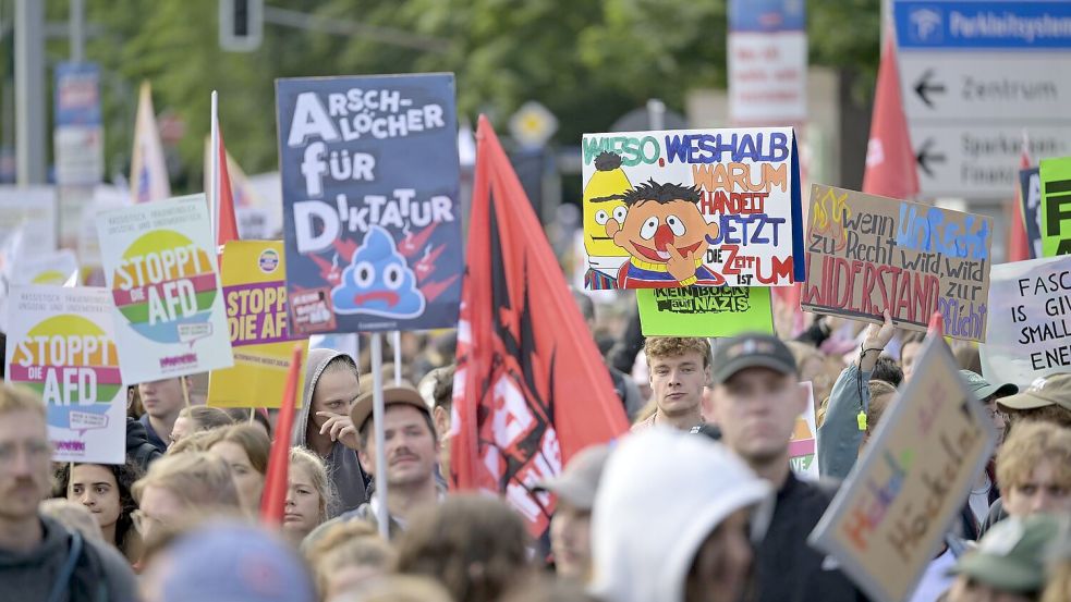 Zehntausende Menschen demonstrieren gegen den AfD-Bundesparteitag in Erfurt. Foto: Jacob Schröter/dpa