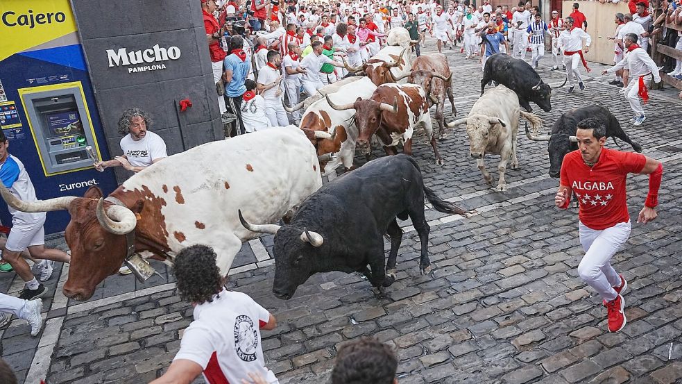 Die Stierhatzen im nordspanischen Pamplona sind schnell und gefährlich. Beim ersten von acht Läufen gab es zum Glück nur Leichtverletzte. Die Bullen aber sterben am späten Nachmittag in der Stierkampfarena. Foto: Miguel Oses