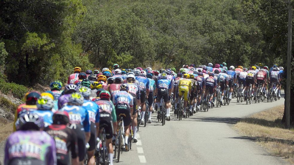 In brütender Hitze unterwegs: Die Profis bei der Tour de France. Foto: Thibault Camus