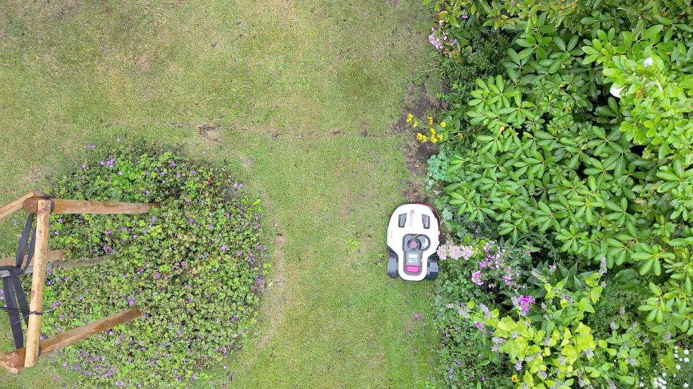 Ein Mähroboter fährt durch einen Garten. Foto: Sascha Thelen/dpa