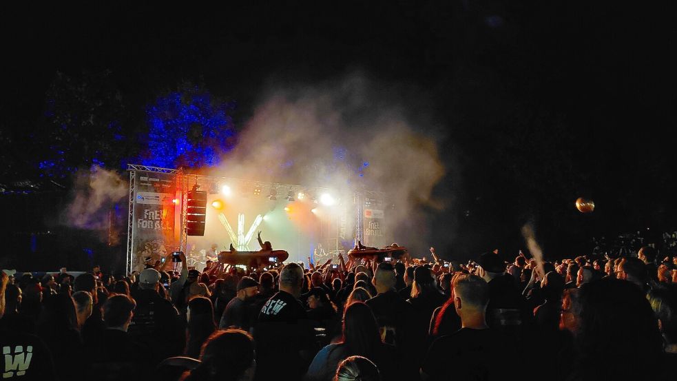Bis tief in die Nacht rissen die verschiedenen Punk- und Metal-Bands die Besucher des Festivals mit. Foto: Lisa Siegler