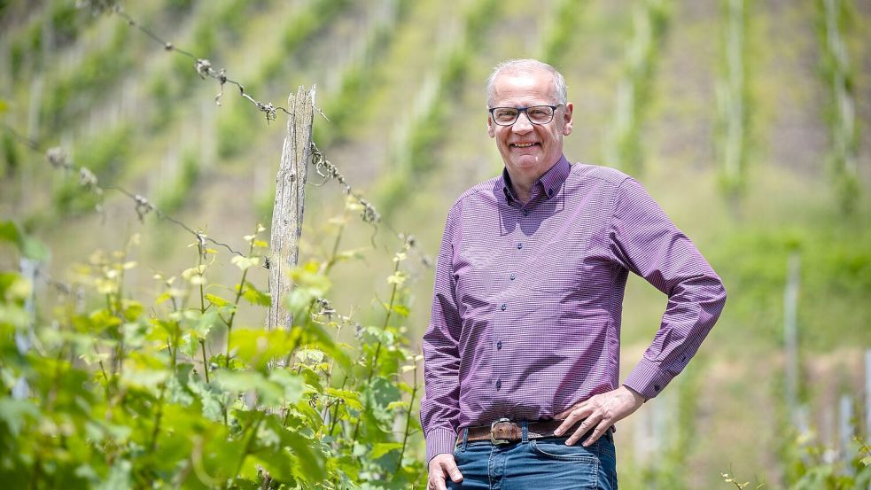 Zwischen den Riesling-Reben: Abseits des Fernsehstudios ist Günther Jauch gerne auf seinem Weingut an der Saar. (Archivbild) Foto: Harald Tittel