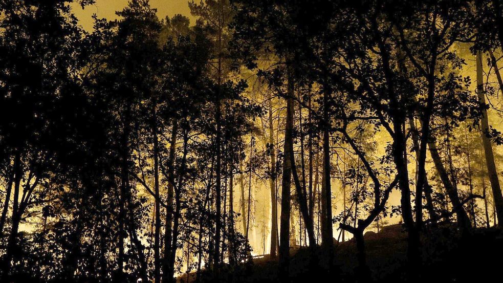 Die Feuerwehr kämpft mit rund 400 Kräften und Löschflugzeugen gegen den Brand im Wald von Fontainebleau. Foto: Geoffroy Van Der Hasselt/AFP/dpa
