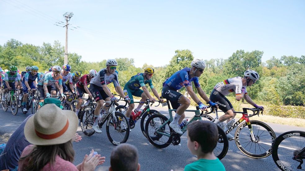 Radprofis bei der 113. Tour de France. Foto: Mosa’ab Elshamy