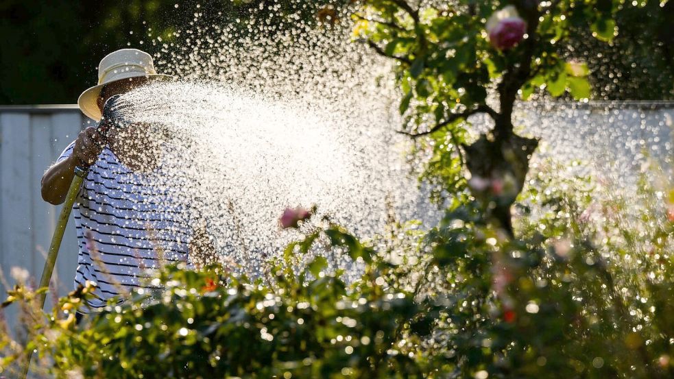 Die Trockenheit lässt in München den Wasserverbrauch steigen. Nun reagiert die Stadt mit Verboten. (Symbolbild) Foto: Julian Stratenschulte
