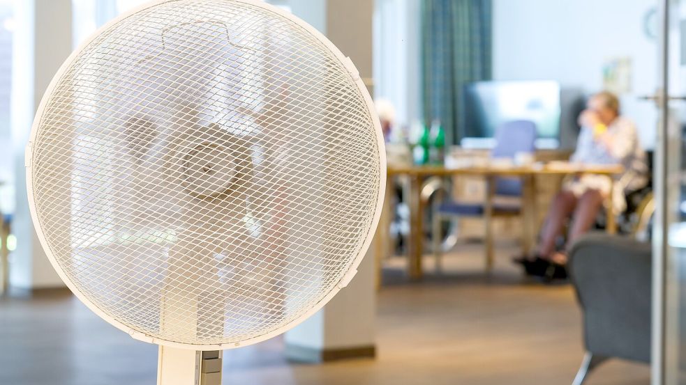 Ventilatoren sind in diesen Wochen besonders begehrt. Foto: Christoph Reichwein
