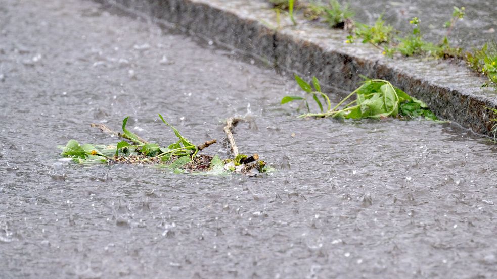 Regen prasselt auf eine Straße: Selbst auf Asphalt und Pflaster erzeugt Sommerregen einen besonderen Duft. Foto: Pia Bayer/dpa