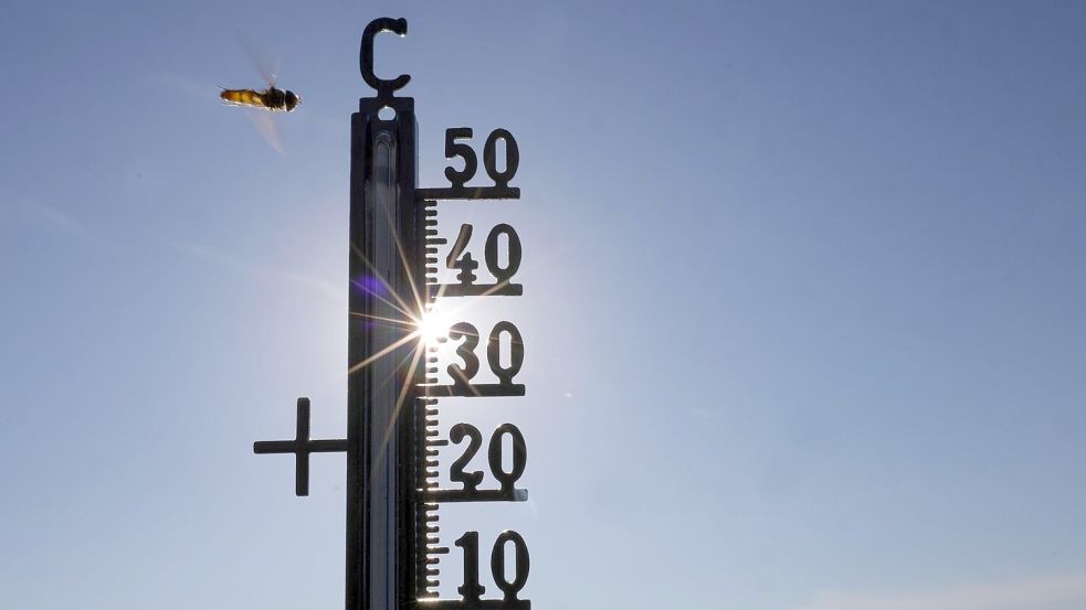 Hat die Hitze mit dem Klimawandel zu tun? Die meisten Menschen in Deutschland gehen davon aus. (Symbolbild) Foto: Thomas Warnack/dpa