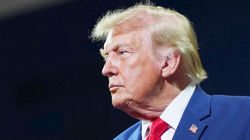 Nach einer EU-Strafe für Google im vergangenen Jahr drohte der US-Präsident mit Zöllen. Foto: Julia Demaree Nikhinson