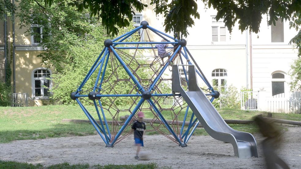 Hohe Bäume spenden Schatten und kühlen über Verdunstung die Umgebung. Foto: Malin Wunderlich