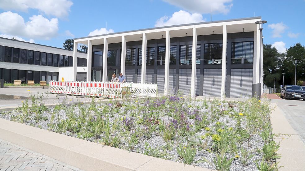Sind es die falschen Pflanzen, Gräser und Blumen, die in den Beeteinfassungen vor dem Rat- und Bürgerhaus in Barßel in die Erde gebracht wurden? Foto: Hans Passmann