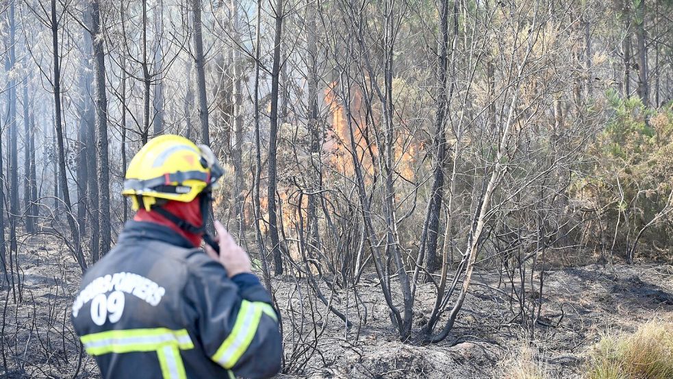 Die Feuerwehr kämpft gegen eine Reihe wiederaufflammender Brände. Foto: Katharina Kausche/dpa
