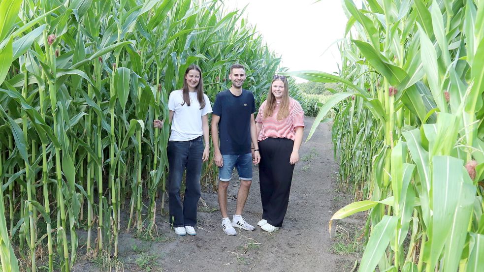 Die Vorstandsmitglieder der Katholischen Landjugendbewegung, KLJB, Harkebrügge (von links) Mala Mödden, Lennard Mödden und Jana Schulze-Osthoff freuen sich mitten im Maisfeld auf das Maislabyrinth, zu dessen Erkundung sie am Sonntag, 2. August, einladen. Foto: Hans Passmann