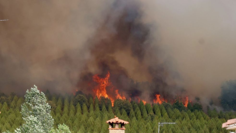 Die Brände richten großflächige Zerstörungen in der Natur an. Foto: Fernando Otero/EUROPA PRESS/dpa