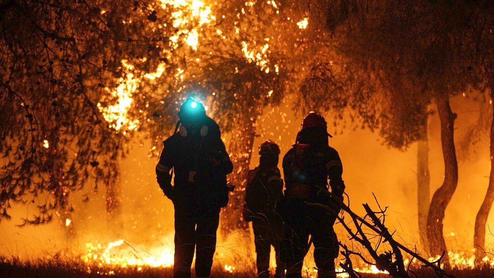 Wald- und Flächenbrände in Griechenland verursachen verheerende Schäden. Foto: Giorgos Arapekos
