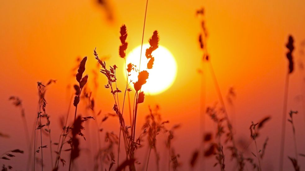 Insgesamt wurden im Juli im Schnitt rund 272 Sonnenstunden gemessen Foto: Matthias Bein