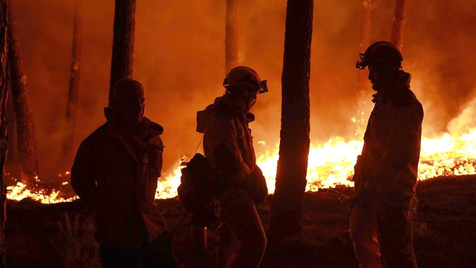 Feuerwehrleute kämpfen gegen den Waldbrand bei Cap Feret in Südwest-Frankreich. Zehntausende Menschen mussten dort evakuiert werden. Foto: IMAGO/Mohamad Salaheldin Abdelghani Alsayed