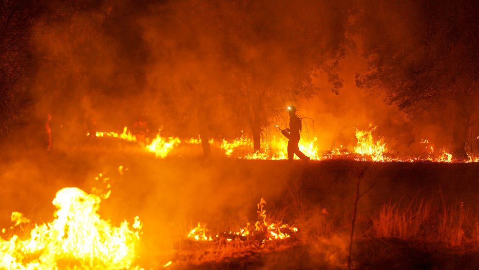Feuerwehrleute setzen kontrollierte Brandlegung ein, um einen Waldbrand einzudämmen, der sich in der Nähe von Cebreros in Spanien weiter ausbreitet. Foto: Manu Fernandez/AP/dpa