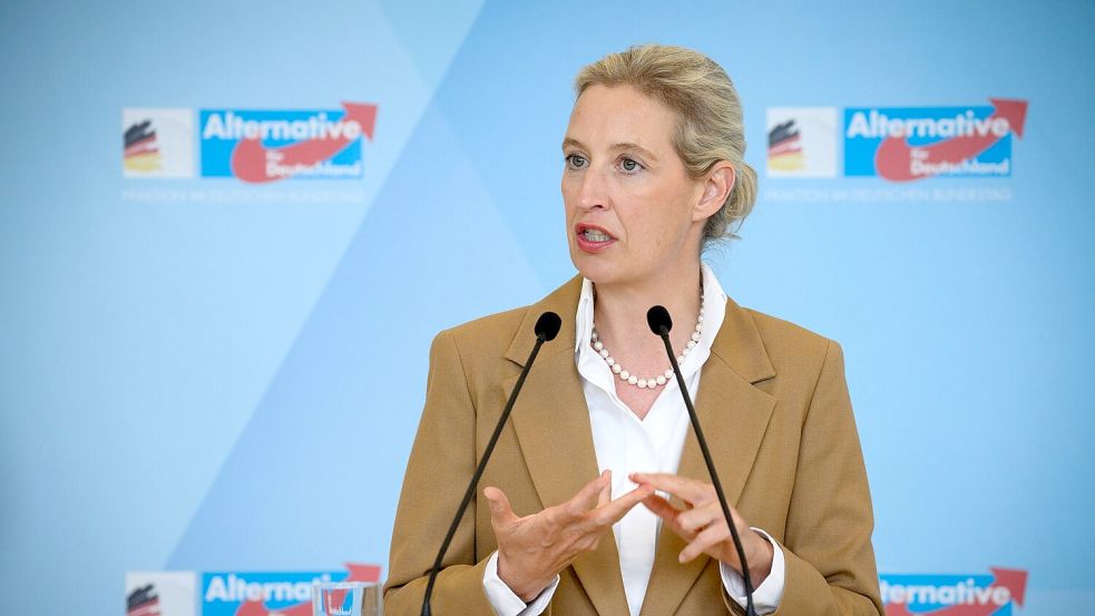 AfD-Chefin Weidel stellt das Schengen-Abkommen infrage. (Archivbild) Foto: Bernd von Jutrczenka