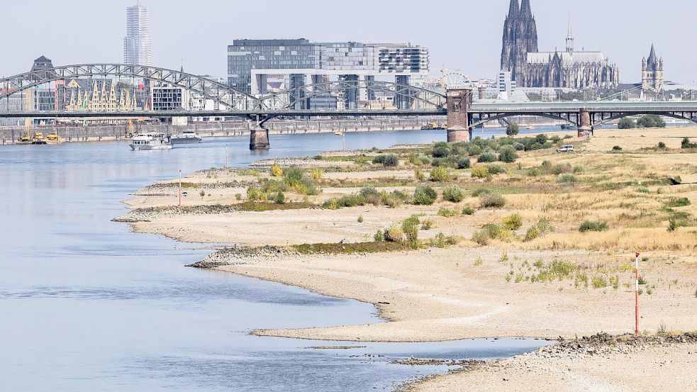 Blick auf Köln mit Sandbänken am Rhein. Foto: Rolf Vennenbernd