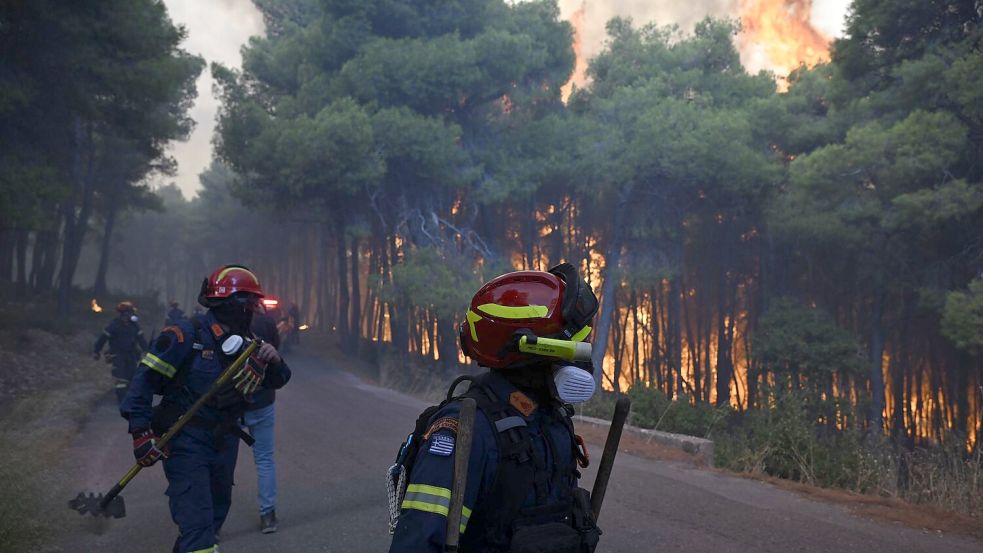 Aus der Luft gibt es wegen stürmischer Winde keine Hilfe - die Feuerwehrleute sind am Boden auf sich gestellt. Foto: Michael Varaklas