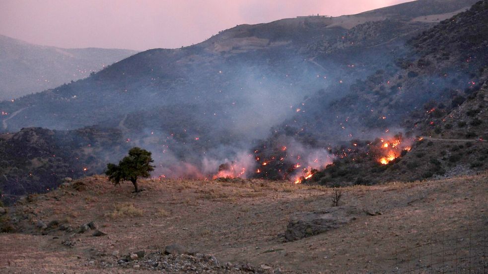 Die Feuerwehr kann den Waldbränden auf Kreta kaum Herr werden. Foto: Giannis Angelakis