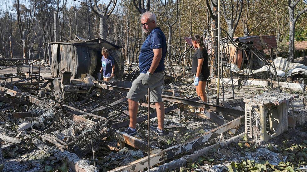 Die Waldbrände haben in Spanien schwere Schäden angerichtet. Foto: Manu Fernandez