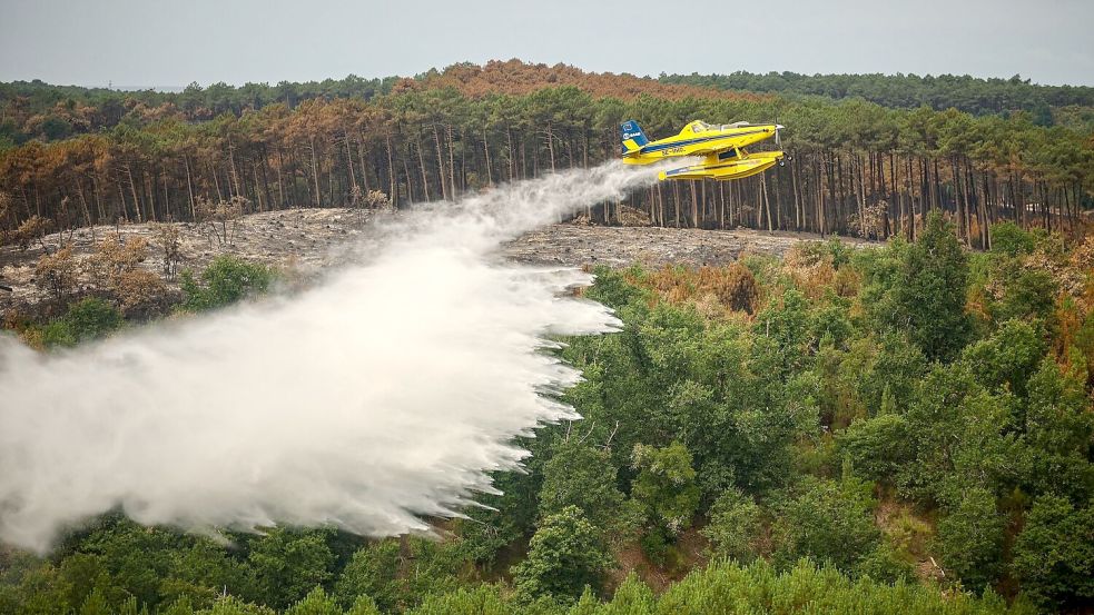 Im französischen Waldbrandgebiet an der Atlantikküste bekämpft die Feuerwehr weiterhin Brandherde mit Löschflugzeugen. Foto: Sarah Meyssonnier/Reuters Pool/A